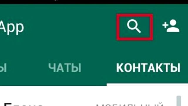 Как найти человека в Ватсап