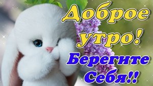 Доброе Утро !☕? Хорошего дня! Берегите себя!