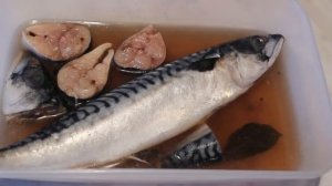 Скумбрия малосольная  .Солим очень вкусненькую скумбрию .