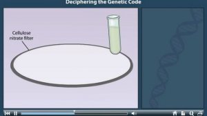 The genetic code animation