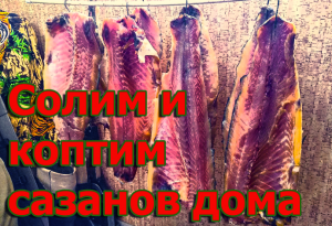 Солим и коптим сазанов в домашних условиях