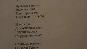 "Мы ходим обросшие" 2 зап. написал Саша Бутусов