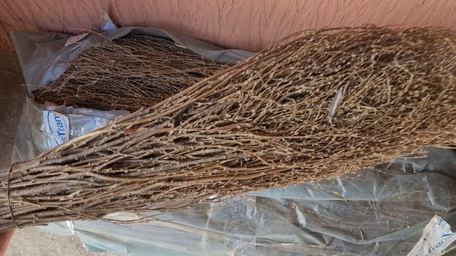 Метла" Сибирьковая Дереза" смотреть онлайн