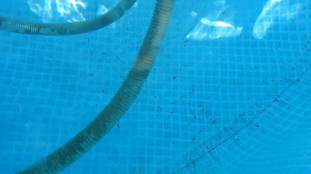 ПЫЛЕСОС ДЛЯ БАССЕЙНА своими руками ЧИСТИТ ДНО