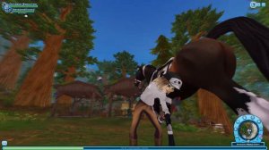 КАК Я НАЧАЛА ИГРАТЬ В STAR STABLE