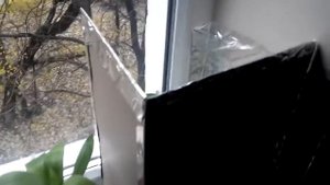 Выращивание цитрусов.Цитрусы в квартире. Зимовка цитрусов.