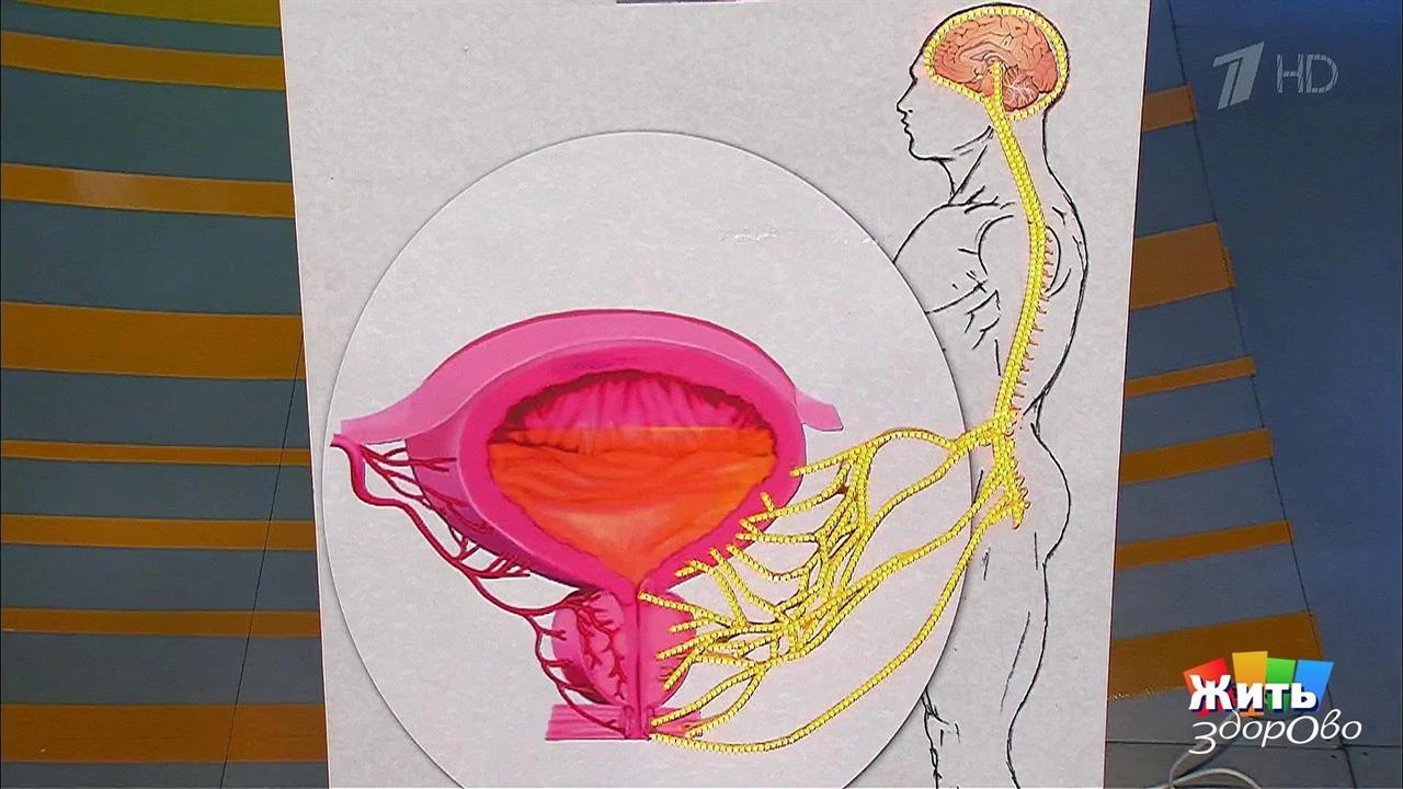 Три невинные причины повышенного давления. Жить здорово! Фрагмент выпуска от 03.07.2017