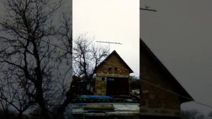 Полёт пакистанских бойных голубей