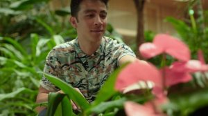 Cinefleur Hidden Treasures - Anthurium: Tropical Novelties Mood video