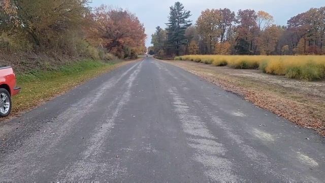 5.4L 32v vs 4.6L 32v sound comparison смотреть онлайн