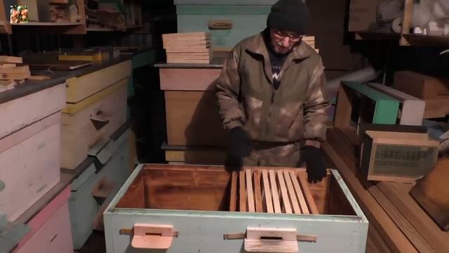 Как уйти от роения и получить больше мёда! (часть 1) смотреть онлайн