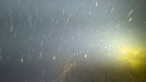 река АХТУБА в апреле.mp4