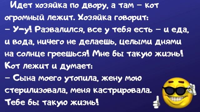 Анекдоты самые смешные. Сборник анекдотов. Юмор и смех