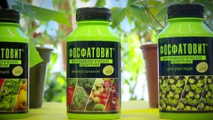 Советы и секреты. Часть 4. Азотовит и Фосфатовит