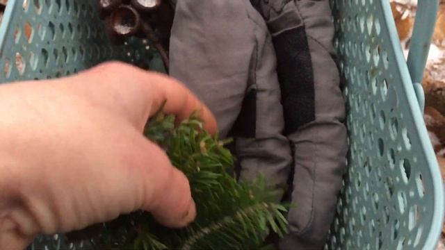 Прогулянка зимовим лісом: гриби, ялиця, смачний рецепт смотреть онлайн