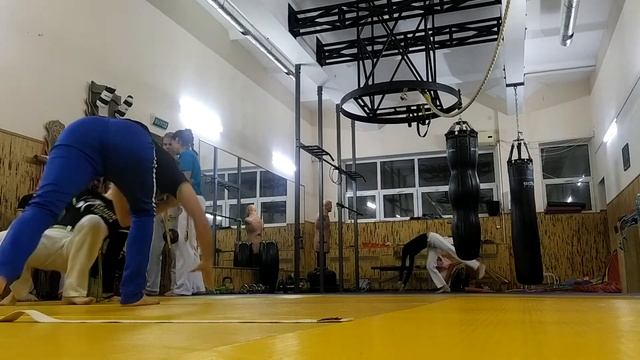 24.11.22 Взрослые на тренировке /Adults Dendê Capoeira @ Professor Zmey смотреть онлайн