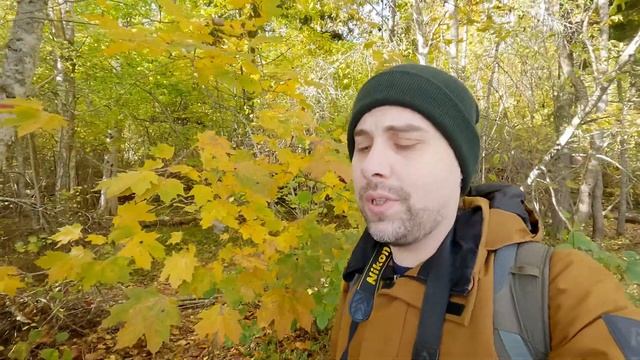 Photographing with the Nikon D700 in 2023 смотреть онлайн