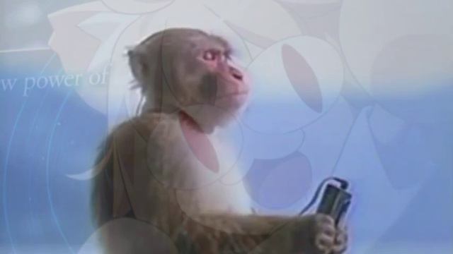 wake up babe, new neco-arc theme just dropped смотреть онлайн