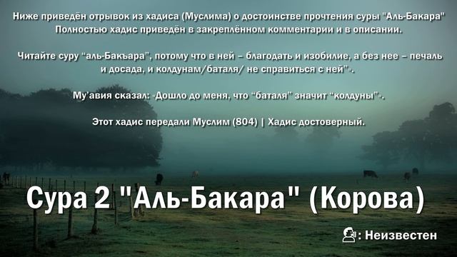 Сура "Аль-Бакара"- за 1 час смотреть онлайн