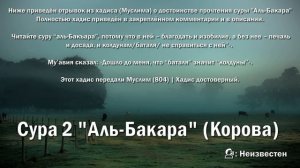 Сура "Аль-Бакара"- за 1 час