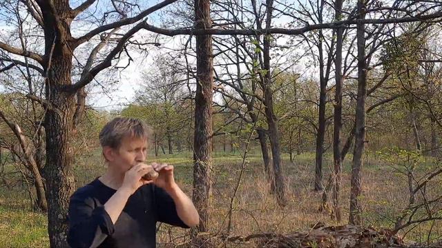 7-hole ocarina Mixolidian scale смотреть онлайн