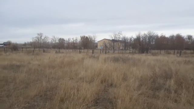 Мечеть. Высохшая речка🥴Гуляю