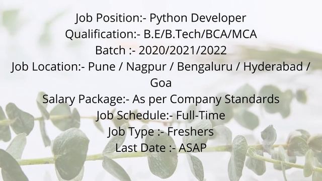 python developer job | persistent systems 2022 | latest jobs | be btech