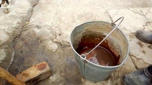 Первая подкормка малины весной минеральными удобрениями нитроаммофоской