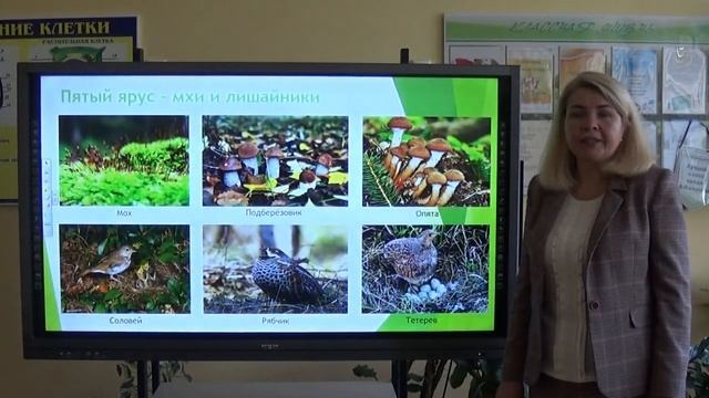 6 класс Биологии 6 класс Лес наземная экосистема Гуща И Р смотреть онлайн