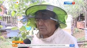 Утро России. Новые правила содержания пчёл