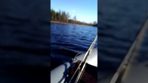 лодочный мотор салют электрон с зажиганием от бензопилы