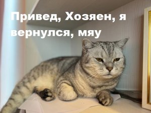 Возвращение Кота из отпуска