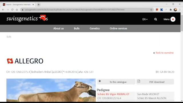 Searching Bull Swissgenetics Website смотреть онлайн