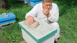 Отводки на 2 рамки, отводок на маточник.Відводки бджіл на маточник.