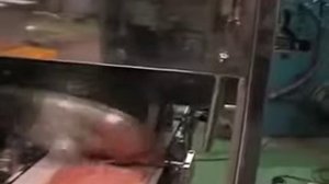 Машина для нарезки замороженного филе CHMS 200