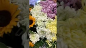 Выставка цветов! Цветы, flowers, fleur, Ծաղիկներ, квіти, fiori, blumen...