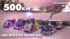 Самая страшная поломка... И КОНЕЦ ЭКСПЕДИЦИИ! Из Москвы в Ярославль 500км на МОТОСОБАКАХ! Серия 5