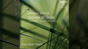 Leaves of Grass, Book III: 10. Apparitions