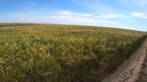 Vlog#2 Первые шаги с dji mavic air 2