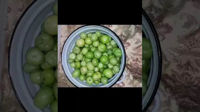 Засолить зелёные помидоры на зиму. смотреть онлайн