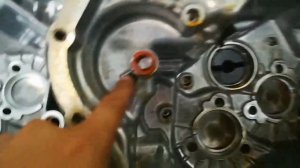 Código de fallo Ford Ecosport powershift P2837, P287B TCM, vehículo sin reverza, Ecosport, fiesta.
