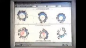 Как мат влияет на человека?