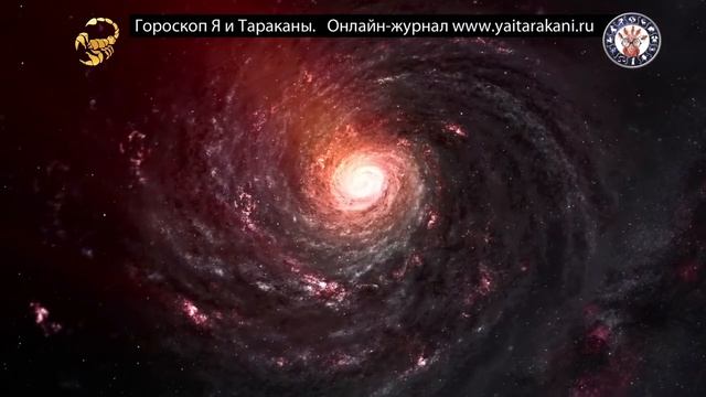 Скорпион.  Гороскоп.  Как мстят Скорпионы.  Описание.
