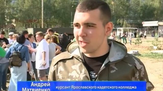 В обновленном парке "Нефтяник" в Ярославле появилось несколько десятков сосен смотреть онлайн