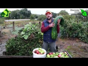 3 секрета правильного компоста. Правильный компост - безопасность для здоровья и МАКСИМУМ ПОЛЬЗЫ!