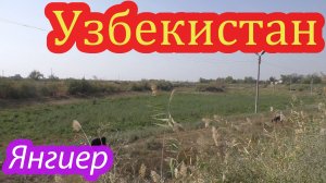 Янгиер город моей юности 2.mp4