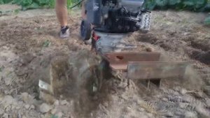 Культивирование земли после обработки гербицидом