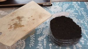 Срочно посадите это сейчас! Осенью скажете спасибо!