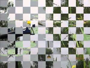 Подбор поводка и поимка леща