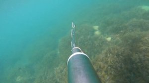 Охота на лобаня